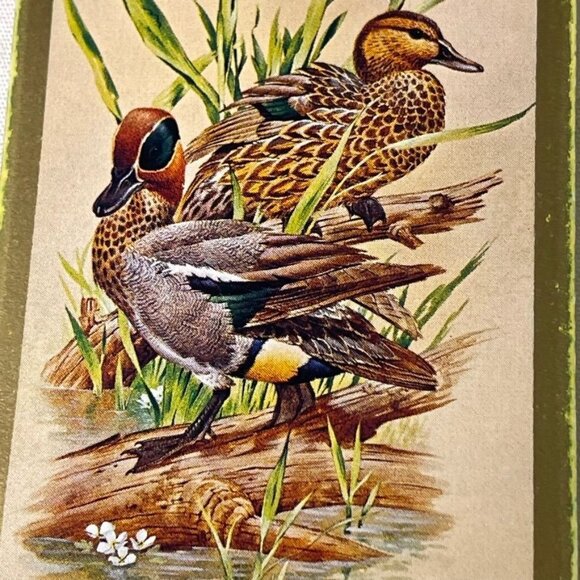 Duck Cardinal Junk Journal Craft Supplies Ephemera Embellishments Set 6 mq Vinta - Picture 7 of 7